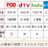 最高の離婚 動画無料お試し視聴（1話～最終話）