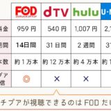 リチプア　VOD